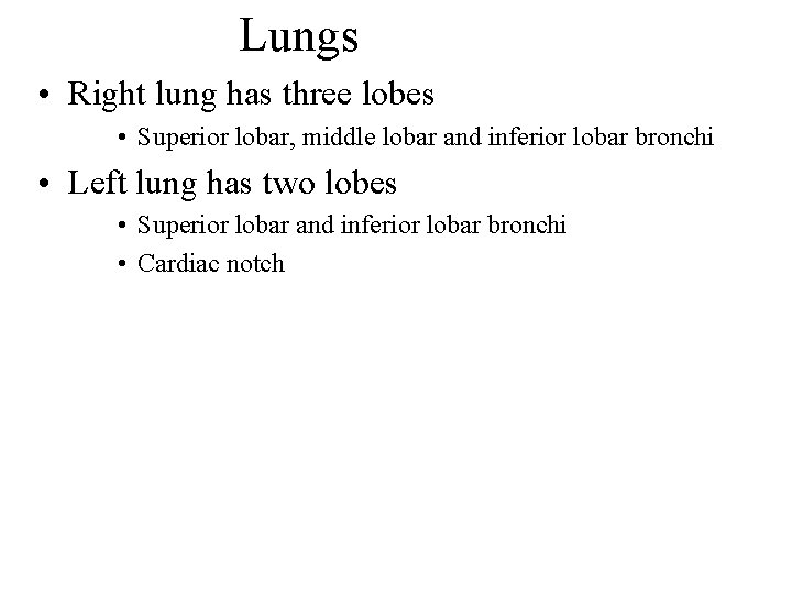 Lungs • Right lung has three lobes • Superior lobar, middle lobar and inferior