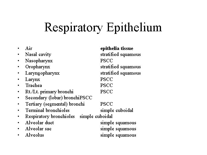 Respiratory Epithelium • • • • Air epithelia tissue Nasal cavity stratified squamous Nasopharynx