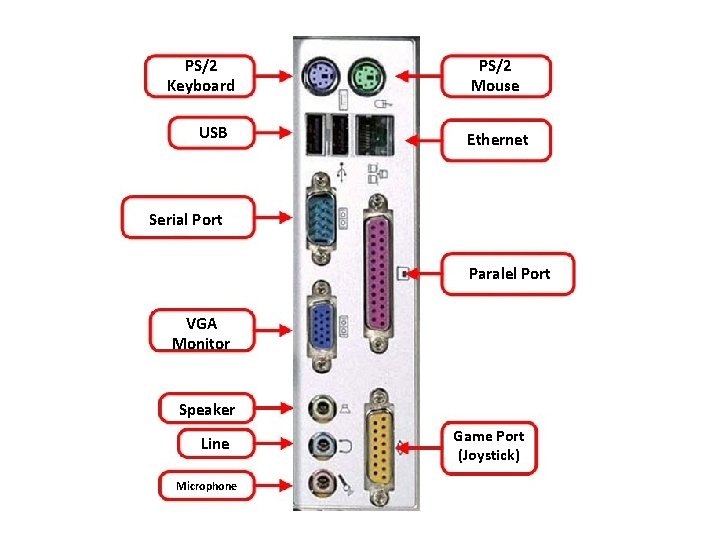 PS/2 Keyboard USB PS/2 Mouse Ethernet Serial Port Paralel Port VGA Monitor Speaker Line