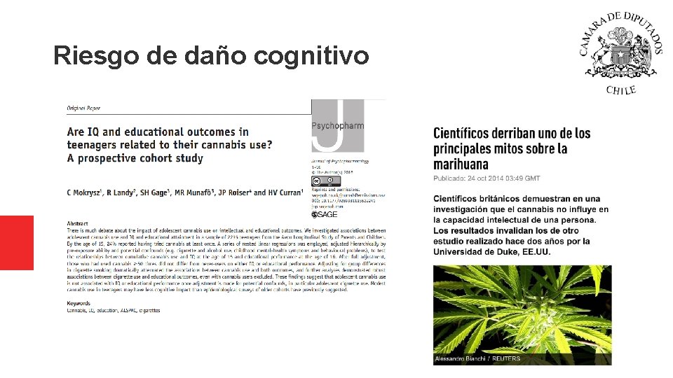 Riesgo de daño cognitivo Riesgo de daño cognitivo