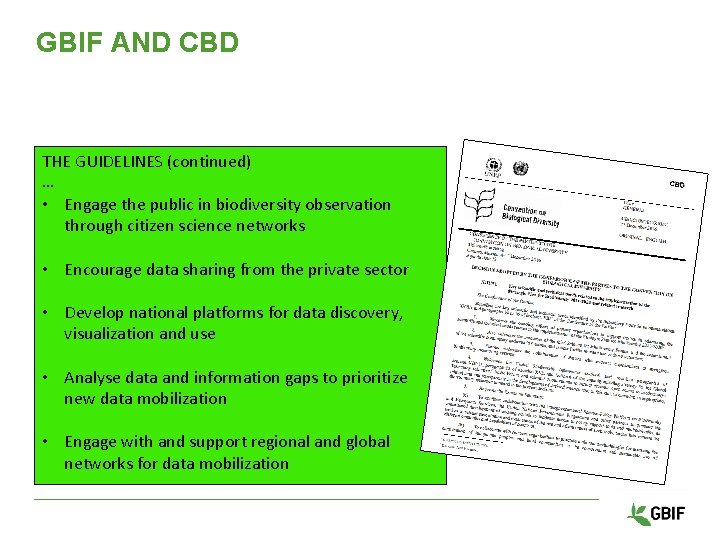 GBIF AND CBD THE GUIDELINES (continued) … • Engage the public in biodiversity observation