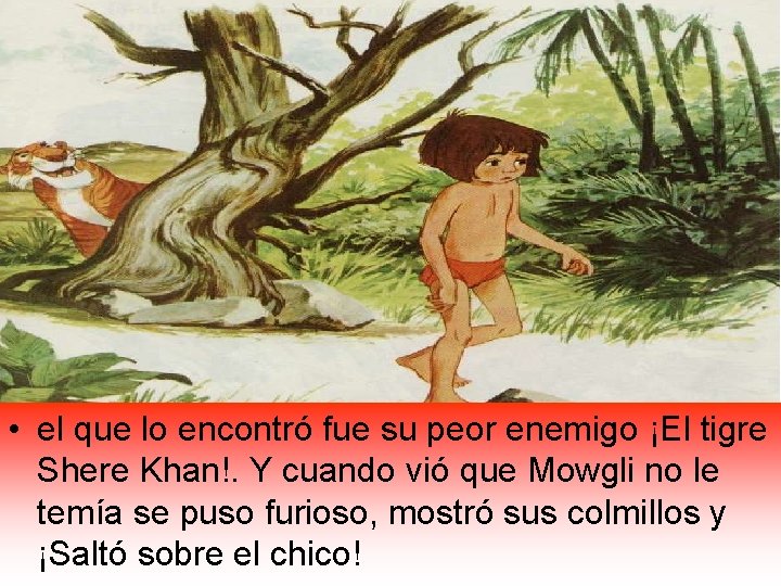  • el que lo encontró fue su peor enemigo ¡El tigre Shere Khan!.