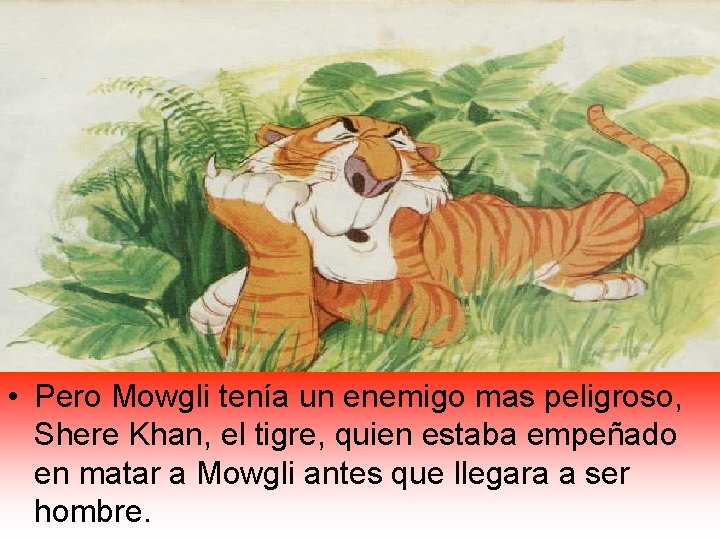  • Pero Mowgli tenía un enemigo mas peligroso, Shere Khan, el tigre, quien