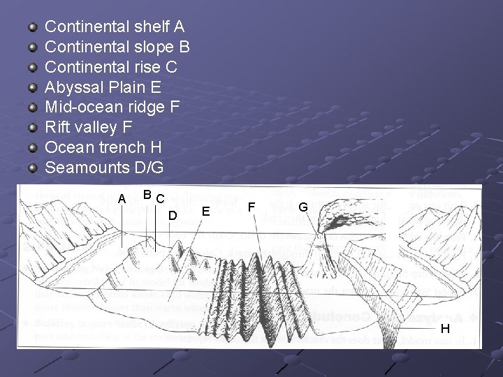 Continental shelf A Continental slope B Continental rise C Abyssal Plain E Mid-ocean ridge