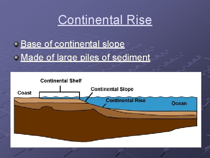 Continental Rise Base of continental slope Made of large piles of sediment 