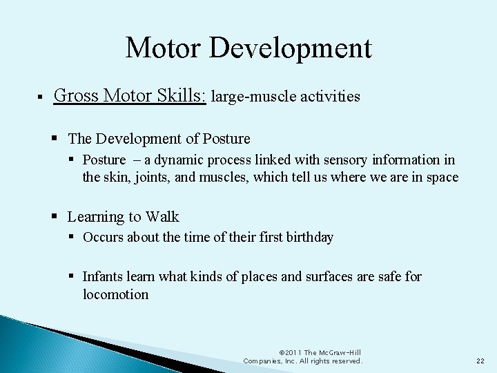 Motor Development Gross Motor Skills: large-muscle activities The Development of Posture – a dynamic