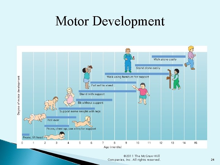 Motor Development © 2011 The Mc. Graw-Hill Companies, Inc. All rights reserved. 24 