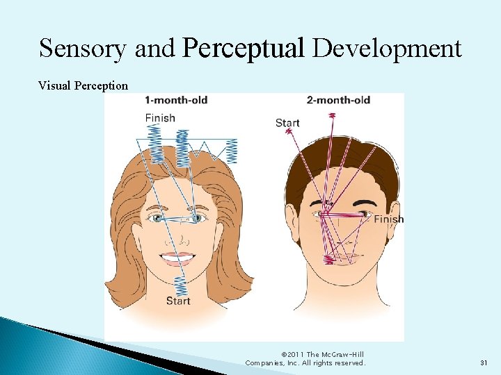 Sensory and Perceptual Development Visual Perception © 2011 The Mc. Graw-Hill Companies, Inc. All