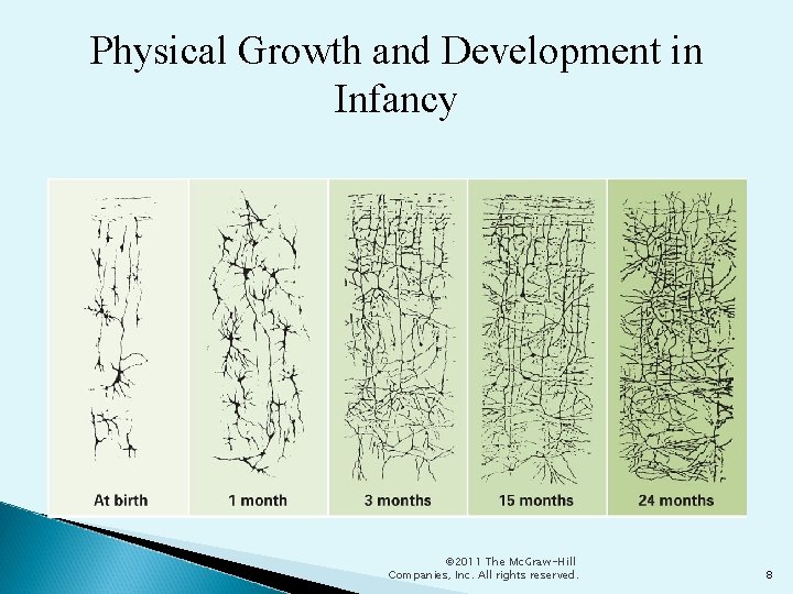 Physical Growth and Development in Infancy © 2011 The Mc. Graw-Hill Companies, Inc. All