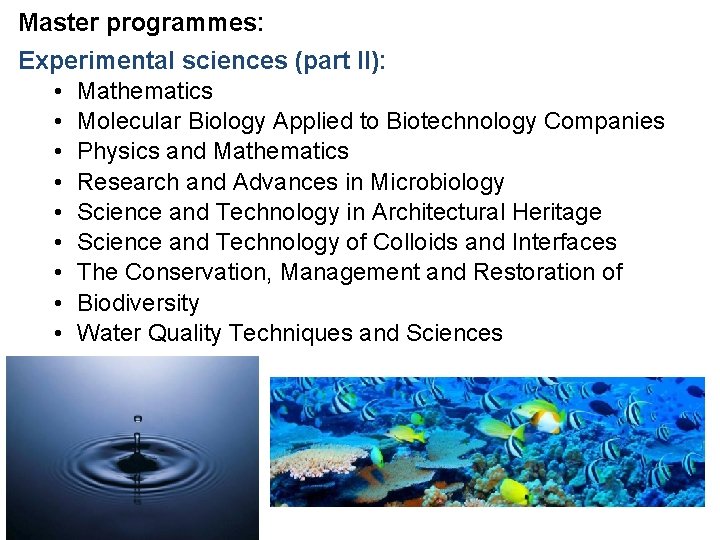 Master programmes: Experimental sciences (part II): • Mathematics • Molecular Biology Applied to Biotechnology