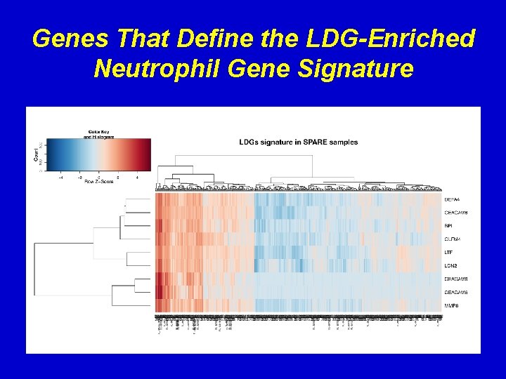 Genes That Define the LDG-Enriched Neutrophil Gene Signature 