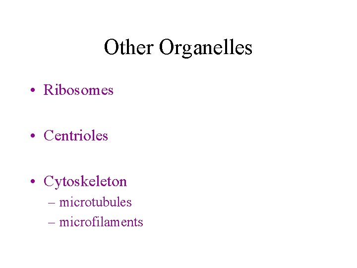 Other Organelles • Ribosomes • Centrioles • Cytoskeleton – microtubules – microfilaments 