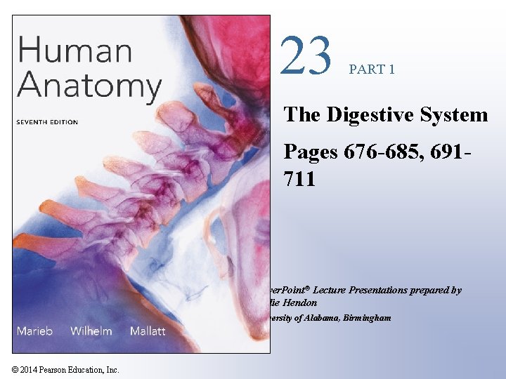 23 PART 1 The Digestive System Pages 676 -685, 691711 Power. Point® Lecture Presentations