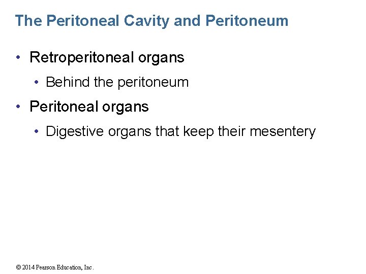 The Peritoneal Cavity and Peritoneum • Retroperitoneal organs • Behind the peritoneum • Peritoneal