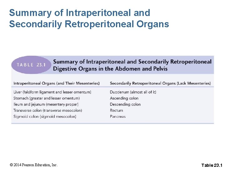 Summary of Intraperitoneal and Secondarily Retroperitoneal Organs © 2014 Pearson Education, Inc. Table 23.