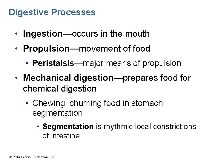 Digestive Processes • Ingestion—occurs in the mouth • Propulsion—movement of food • Peristalsis—major means