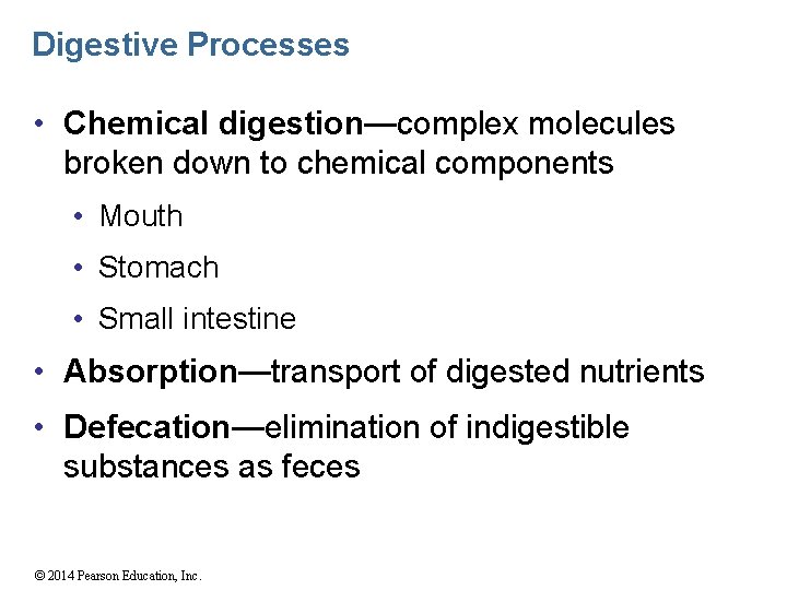 Digestive Processes • Chemical digestion—complex molecules broken down to chemical components • Mouth •