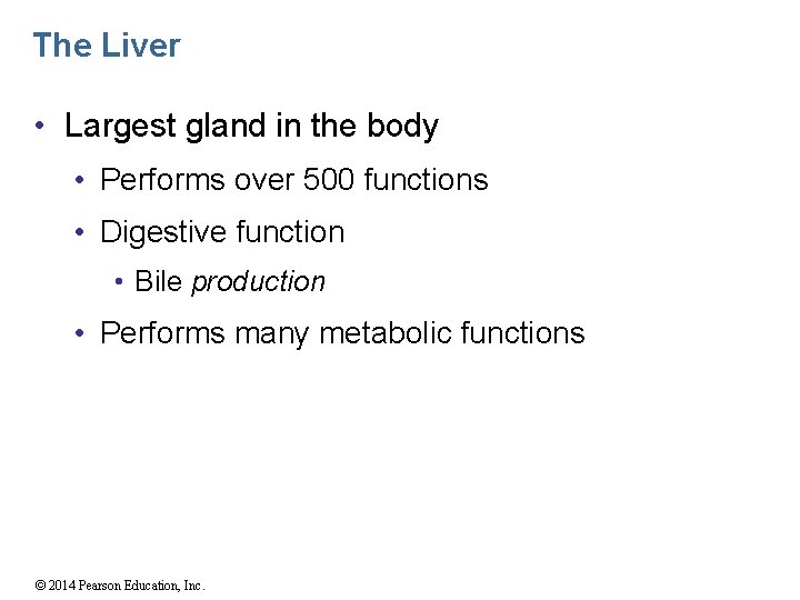 The Liver • Largest gland in the body • Performs over 500 functions •