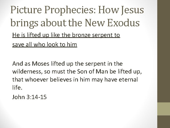 Picture Prophecies: How Jesus brings about the New Exodus He is lifted up like