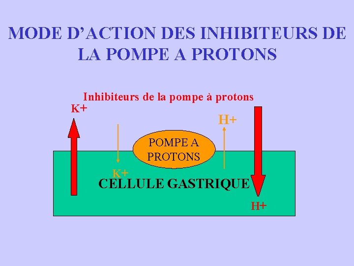 MODE D’ACTION DES INHIBITEURS DE LA POMPE A PROTONS Inhibiteurs de la pompe à