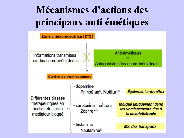 Mécanismes d’actions des principaux anti émétiques 