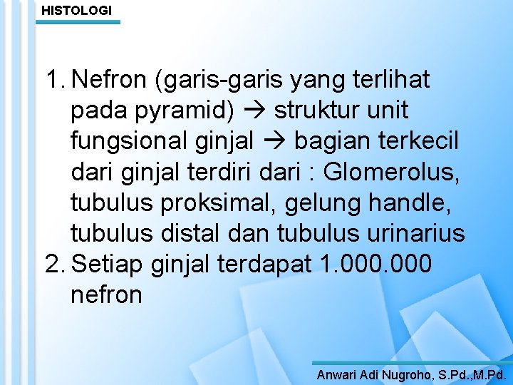 HISTOLOGI 1. Nefron (garis-garis yang terlihat pada pyramid) struktur unit fungsional ginjal bagian terkecil