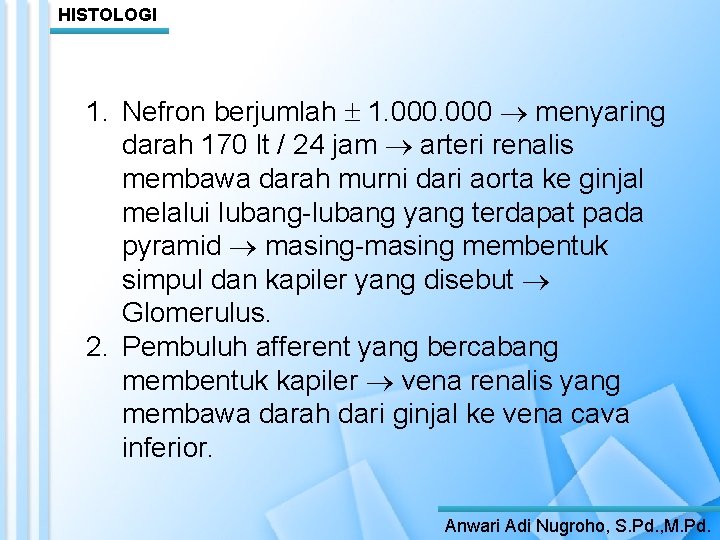 HISTOLOGI 1. Nefron berjumlah 1. 000 menyaring darah 170 lt / 24 jam arteri