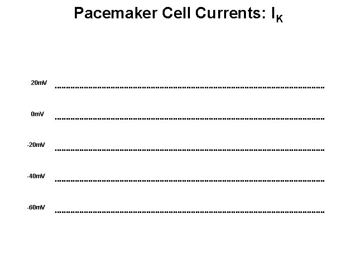 Pacemaker Cell Currents: IK 20 m. V -20 m. V -40 m. V -60