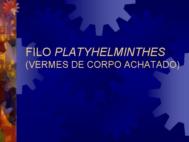 FILO PLATYHELMINTHES (VERMES DE CORPO ACHATADO) FILO PLATYHELMINTHES (VERMES DE CORPO ACHATADO)