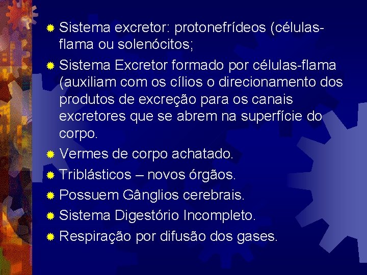 ® Sistema excretor: protonefrídeos (célulasflama ou solenócitos; ® Sistema Excretor formado por células-flama (auxiliam ® Sistema excretor: protonefrídeos (célulasflama ou solenócitos; ® Sistema Excretor formado por células-flama (auxiliam