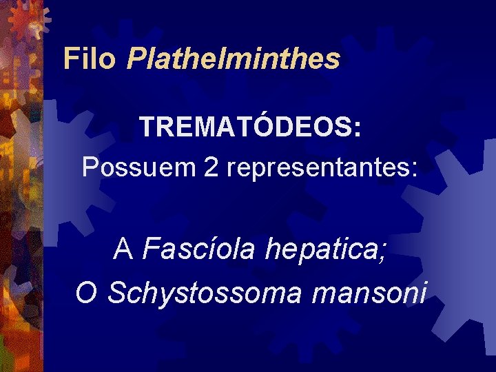 Filo Plathelminthes TREMATÓDEOS: Possuem 2 representantes: A Fascíola hepatica; O Schystossoma mansoni Filo Plathelminthes TREMATÓDEOS: Possuem 2 representantes: A Fascíola hepatica; O Schystossoma mansoni