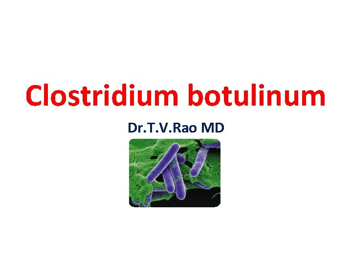 Clostridium botulinum Dr. T. V. Rao MD 