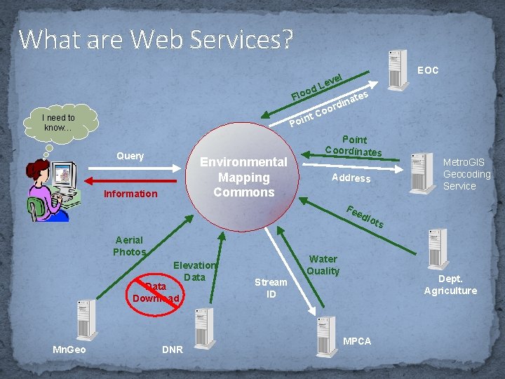 What are Web Services? od Flo nt Poi I need to know… Query Environmental