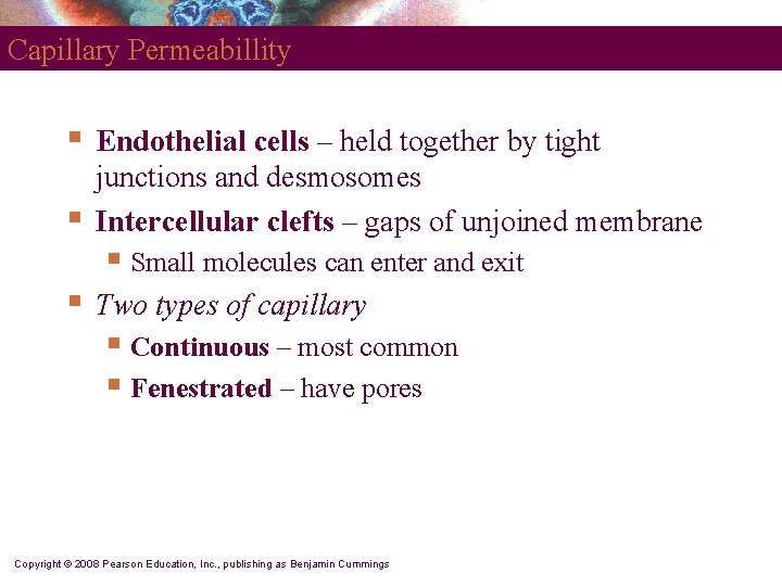 Capillary Permeabillity § § Endothelial cells – held together by tight junctions and desmosomes Capillary Permeabillity § § Endothelial cells – held together by tight junctions and desmosomes