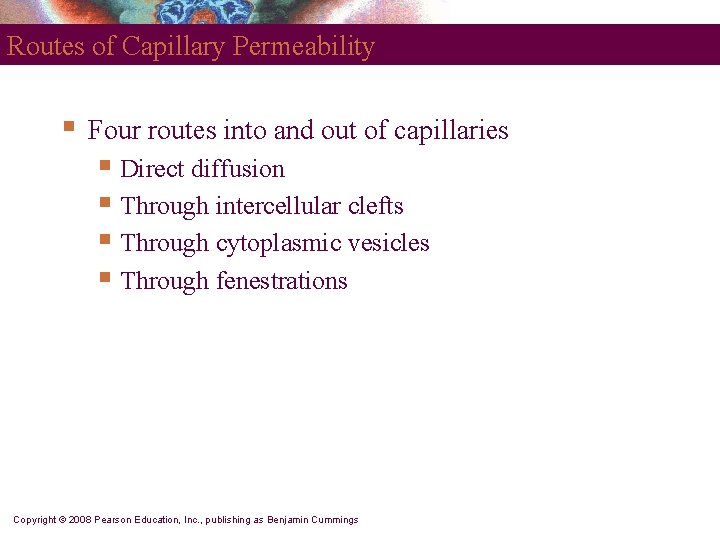 Routes of Capillary Permeability § Four routes into and out of capillaries § Direct Routes of Capillary Permeability § Four routes into and out of capillaries § Direct