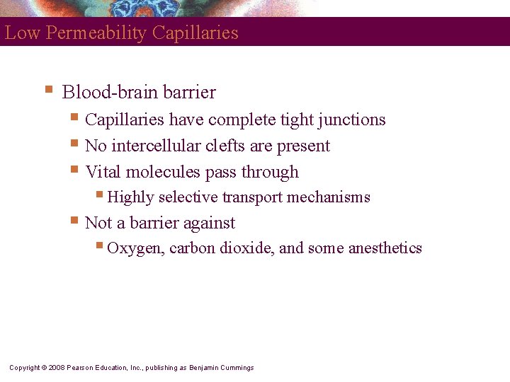 Low Permeability Capillaries § Blood-brain barrier § Capillaries have complete tight junctions § No Low Permeability Capillaries § Blood-brain barrier § Capillaries have complete tight junctions § No