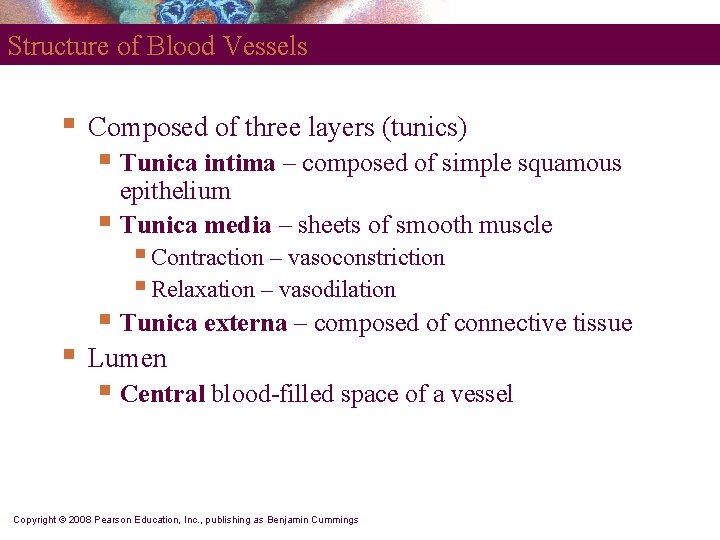Structure of Blood Vessels § Composed of three layers (tunics) § Tunica intima – Structure of Blood Vessels § Composed of three layers (tunics) § Tunica intima –