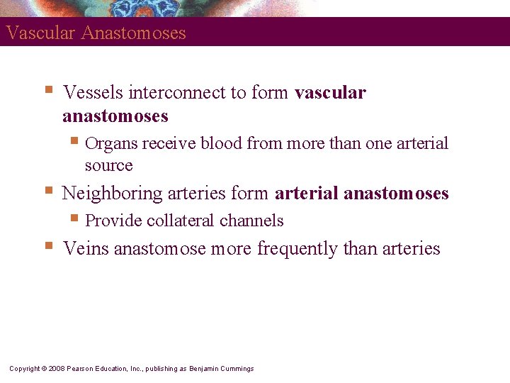 Vascular Anastomoses § Vessels interconnect to form vascular anastomoses § Organs receive blood from Vascular Anastomoses § Vessels interconnect to form vascular anastomoses § Organs receive blood from