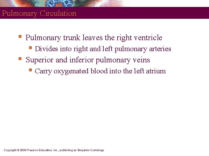 Pulmonary Circulation § Pulmonary trunk leaves the right ventricle § Divides into right and Pulmonary Circulation § Pulmonary trunk leaves the right ventricle § Divides into right and