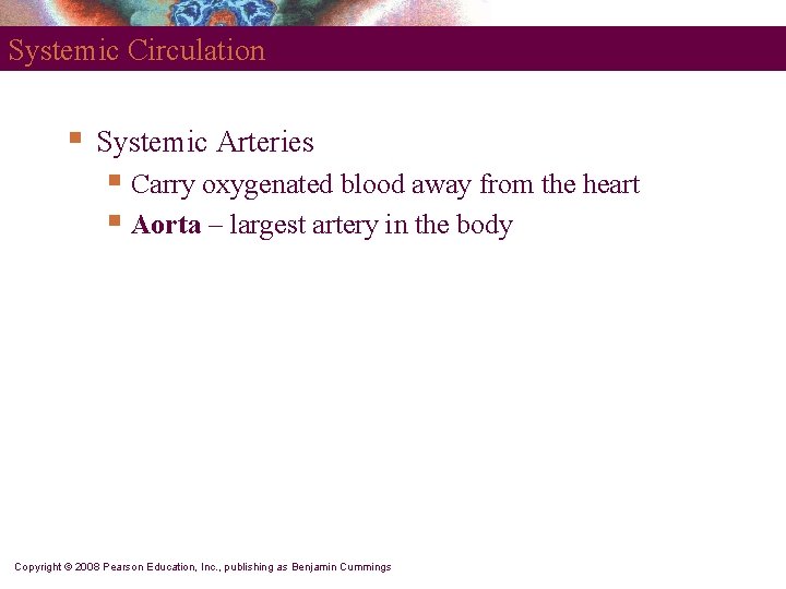 Systemic Circulation § Systemic Arteries § Carry oxygenated blood away from the heart § Systemic Circulation § Systemic Arteries § Carry oxygenated blood away from the heart §