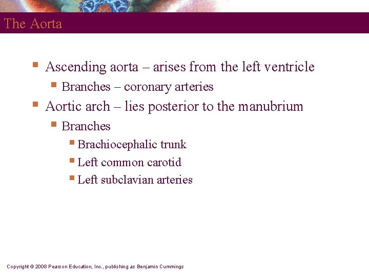 The Aorta § Ascending aorta – arises from the left ventricle § Branches – The Aorta § Ascending aorta – arises from the left ventricle § Branches –