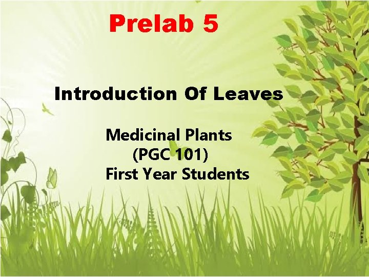 Prelab 5 Botany and Medicina l Plants Introduction Of Leaves (201) Medicinal Plants (PGC