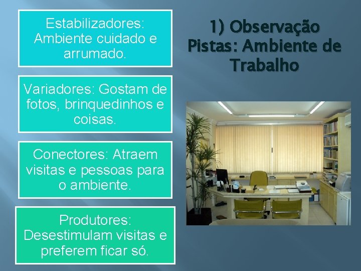 Estabilizadores: Ambiente cuidado e arrumado. Variadores: Gostam de fotos, brinquedinhos e coisas. Conectores: Atraem