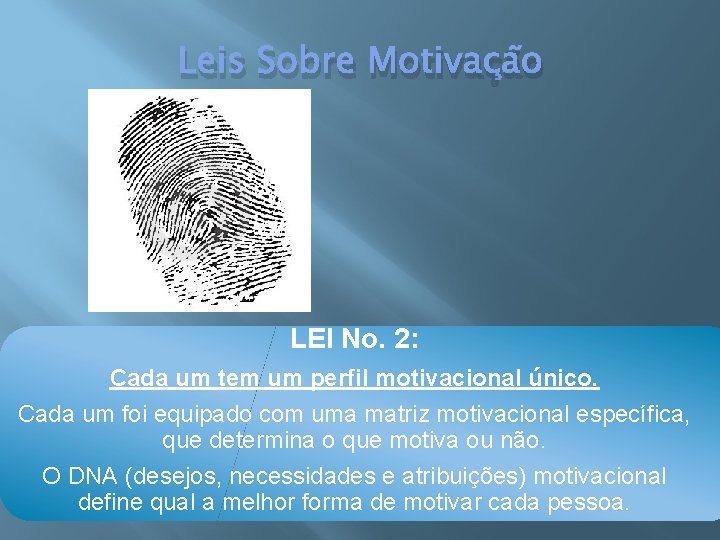 Leis Sobre Motivação LEI No. 2: Cada um tem um perfil motivacional único. Cada