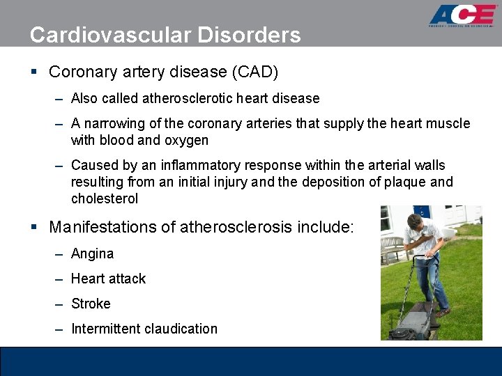 Cardiovascular Disorders § Coronary artery disease (CAD) – Also called atherosclerotic heart disease –