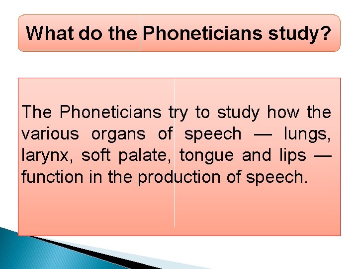 What do the Phoneticians study? The Phoneticians try to study how the various organs