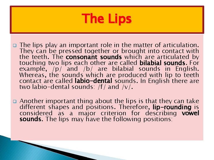 The Lips q q The lips play an important role in the matter of