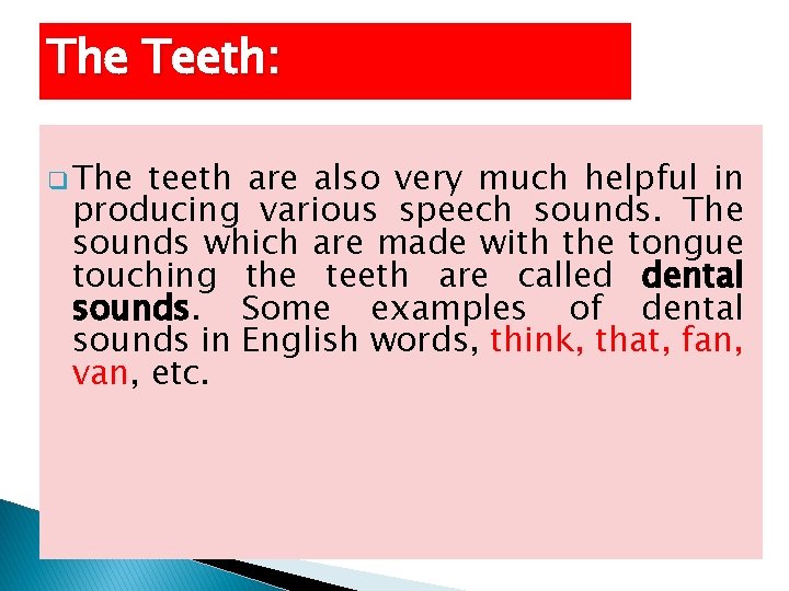 The Teeth: q The teeth are also very much helpful in producing various speech