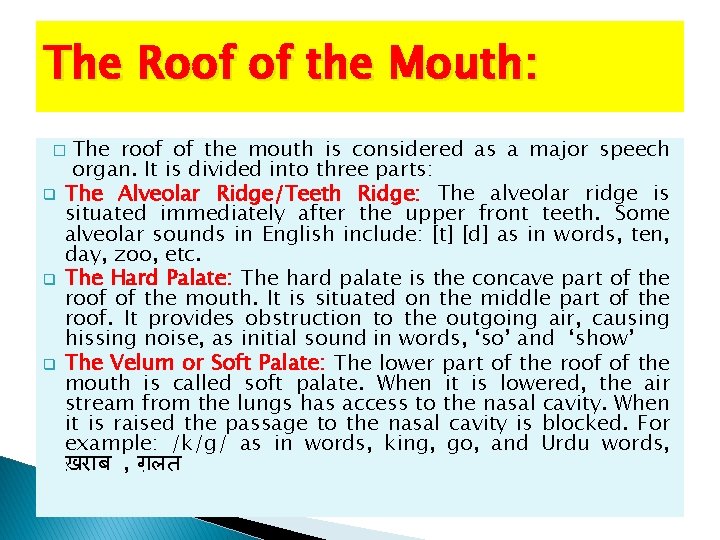 The Roof of the Mouth: The roof of the mouth is considered as a