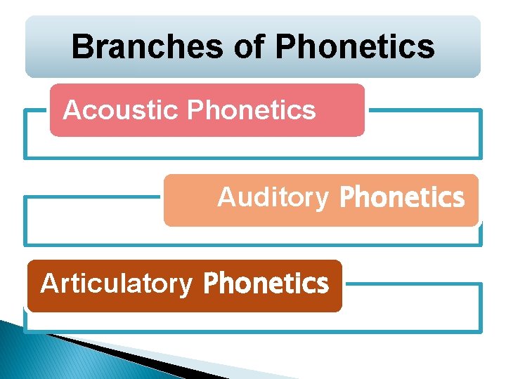 Branches of Phonetics Acoustic Phonetics Auditory Phonetics Articulatory Phonetics 